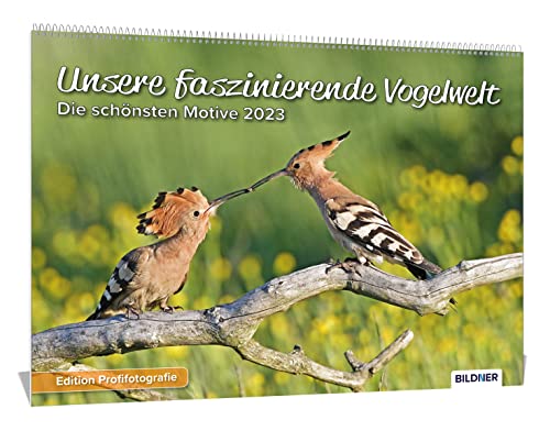 Beispielbild fr Unsere faszinierende Vogelwelt (Wandkalender 2023 DIN A3 quer) - Tierkalender / Vogelkalender: Heimische Vgel als Wandkalender 2023: Hochwertiger Kalender mit den schnsten Aufnahmen heimischer Vgel zum Verkauf von medimops