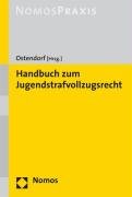 9783832935658: Jugendstrafvollzugsrecht: Eine kommentierende Darstellung der einzelnen Jugendstrafvollzugsgesetze