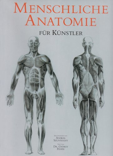 Beispielbild fr Menschliche Anatomie fr Knstler zum Verkauf von Buchhandlung Loken-Books