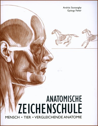 Imagen de archivo de Anatomische Zeichenschule: Mensch. Tier. Vergleichende Anatomie a la venta por medimops