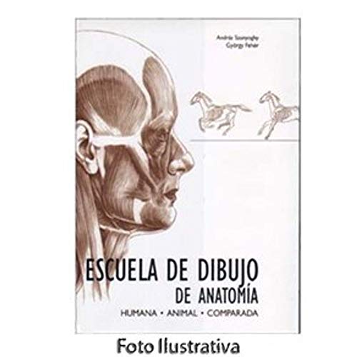 Imagen de archivo de Escuela de dibujo de anatomia. humana/animal/comparada. a la venta por Iridium_Books