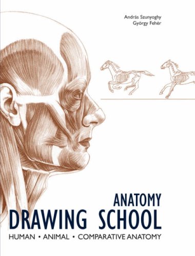 Beispielbild fr Anatomy Drawing School: Human, Animal, Comparative Anatomy zum Verkauf von Sunshine State Books