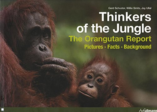 Beispielbild fr Thinkers of the Jungle: The Orangutan Report- Pictures, Facts, Background zum Verkauf von Books From California