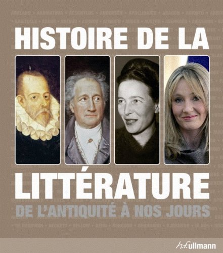 Imagen de archivo de Histoire de la littrature a la venta por Chapitre.com : livres et presse ancienne