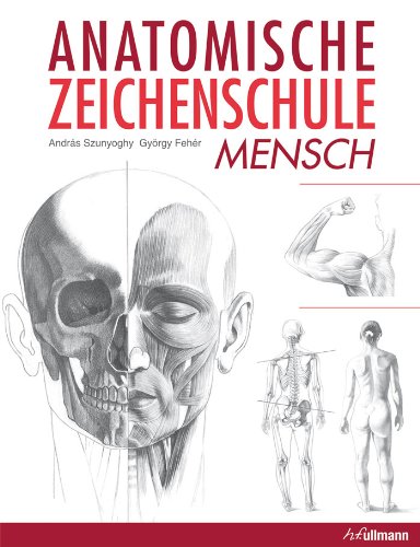 Imagen de archivo de Anatomische Zeichenschule 1: Mensch a la venta por medimops