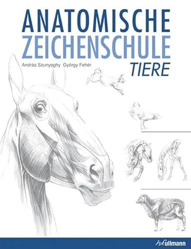 Stock image for Anatomische Zeichenschule 2: Tier for sale by medimops