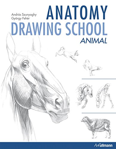 Beispielbild fr Anatomy Drawing School: Animal Anatomy zum Verkauf von -OnTimeBooks-
