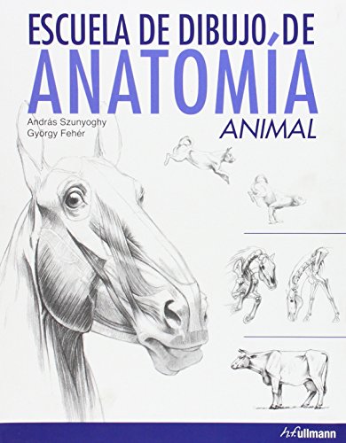 Imagen de archivo de Escuela de dibujo de anatomia animal. a la venta por Iridium_Books