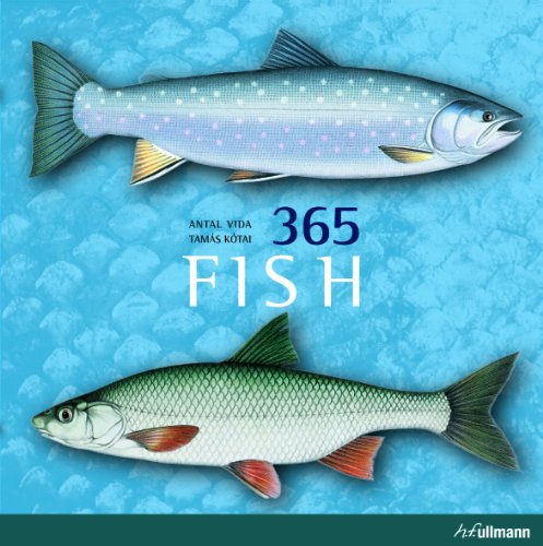 Beispielbild fr 365 Fish (Ullmann) zum Verkauf von WorldofBooks