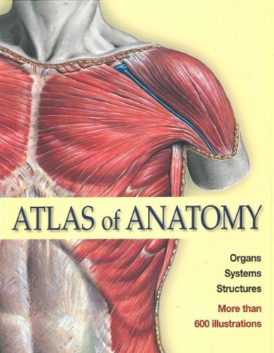 Stock image for Atlas of Anatomy: Organs, Systems, Structures for sale by Hawking Books
