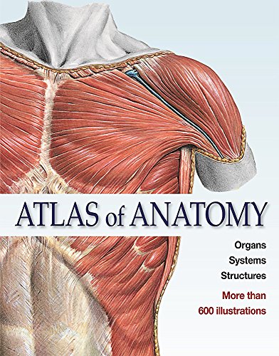 9783833161605: Atlas of Anatomy: The Human Body Described in 13 Systems