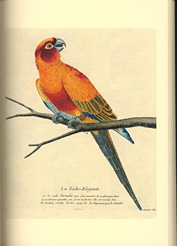 Histoire des Oiseaux. Geschichte der Vögel. Von Antoine Reille präsentiert.
