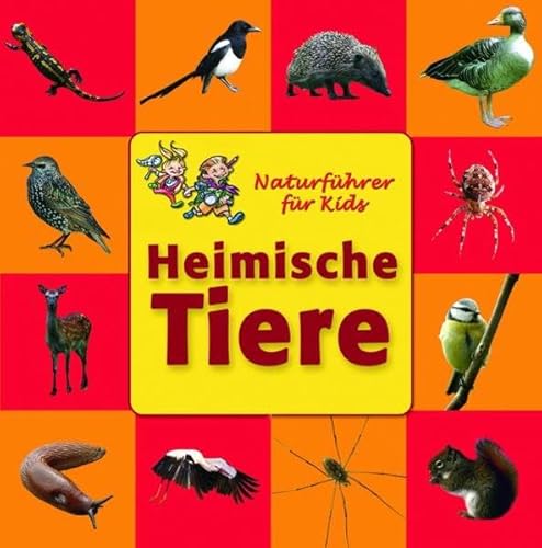 Beispielbild fr Heimische Tiere. Naturfhrer fr Kids zum Verkauf von medimops