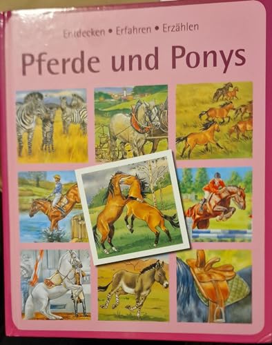 9783833192555: Entdecken-Erfahren-Erzhlen PFERDE UND PONYS