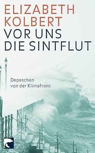 9783833305207: Vor uns die Sintflut: Depeschen von der Klimafront