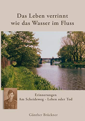 Stock image for Das Leben verrinnt wie das Wasser im Fluss:Am Scheideweg - Leben oder Tod for sale by Chiron Media
