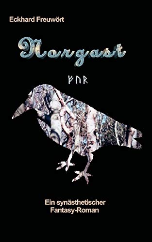 9783833444265: Norgast: Ein synsthetischer Fantasy-Roman