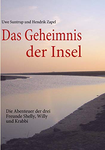 Stock image for Das Geheimnis der Insel for sale by Buchpark