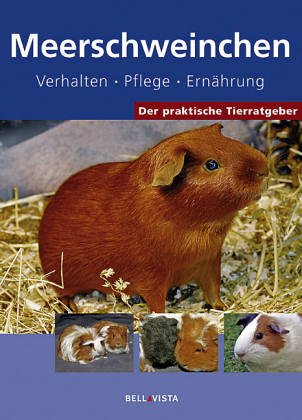 Beispielbild fr Der praktische Tierratgeber: Meerschweinchen. Verhalten. Pflege. Ernhrung zum Verkauf von medimops