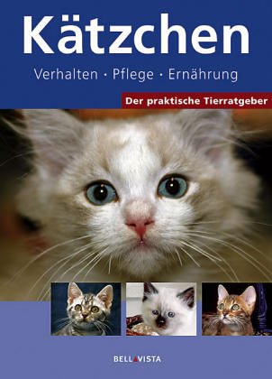 Beispielbild fr Der praktische Tierratgeber: Ktzchen. Verhalten. Pflege. Ernhrung zum Verkauf von medimops