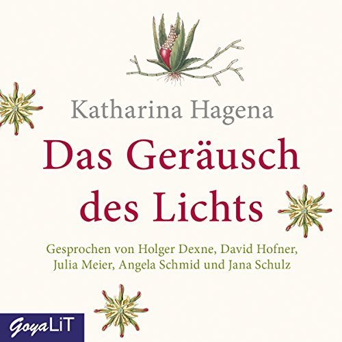 Stock image for Das Gerusch des Lichts for sale by medimops