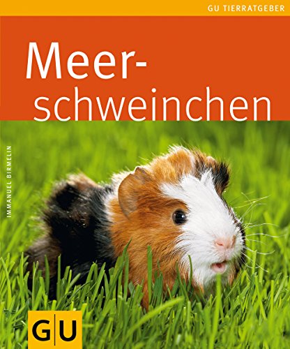 Beispielbild fr Meerschweinchen (Tierratgeber) zum Verkauf von medimops