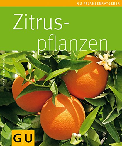 Stock image for Zitruspflanzen (Pflanzenratgeber) for sale by medimops