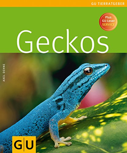 Beispielbild fr Geckos (Tierratgeber) zum Verkauf von medimops