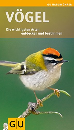 Beispielbild fr Vgel: Die wichtigsten Arten entdecken und bestimmen (GU Naturfhrer 2012) zum Verkauf von medimops