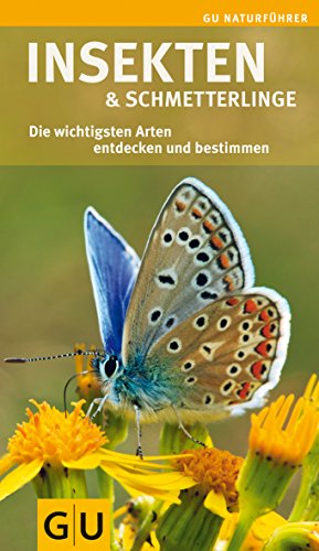 Imagen de archivo de Insekten und Schmetterlinge: Die wichtigsten Arten entdecken und bestimmen (GU Naturfhrer 2012) a la venta por medimops