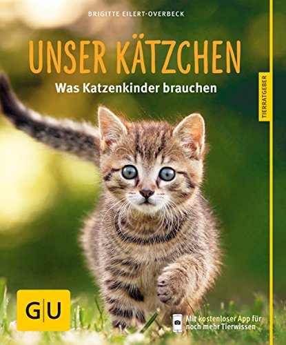 Imagen de archivo de Unser Ktzchen: Was Katzenkinder brauchen a la venta por medimops