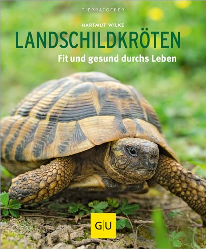 9783833841484: Landschildkrten: Fit und gesund durchs Leben