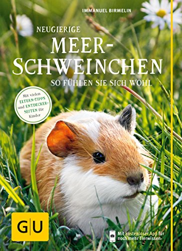 Beispielbild fr Neugierige Meerschweinchen: So fhlen sie sich wohl. Mit vielen Eltern-Tipps und Entdecker-Seiten fr Kinder (GU Mein Heimtier neu) zum Verkauf von medimops