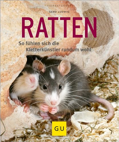 Stock image for Ratten: So fhlen sich die Kletterknstler rundum wohl for sale by Ammareal