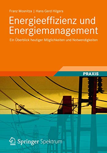 9783834819413: Energieeffizienz und Energiemanagement: Ein berblick heutiger Mglichkeiten und Notwendigkeiten