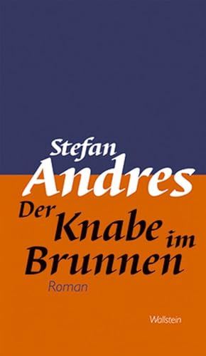 9783835307377: Werke in Einzelausgaben / Der Knabe im Brunnen: Roman