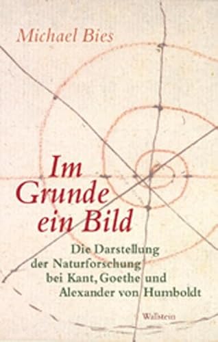 Im Grunde ein Bild : Die Darstellung der Naturforschung bei Kant, Goethe und Alexander von Humboldt - Michael Bies