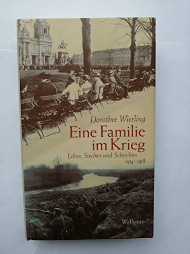 Beispielbild fr Eine Familie im Krieg: Leben, Sterben und Schreiben 1914-1918 zum Verkauf von medimops