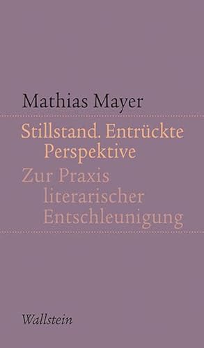 Stillstand. Entrückte Perspektive. Zur Praxis literarischer Entschleunigung.