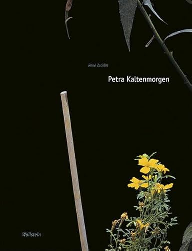 Stock image for Petra Kaltenmorgen for sale by Zubal-Books, Since 1961