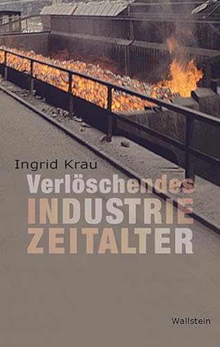9783835332553: Verlschendes Industriezeitalter: Suche nach Aufbruch an Rhein, Ruhr und Emscher
