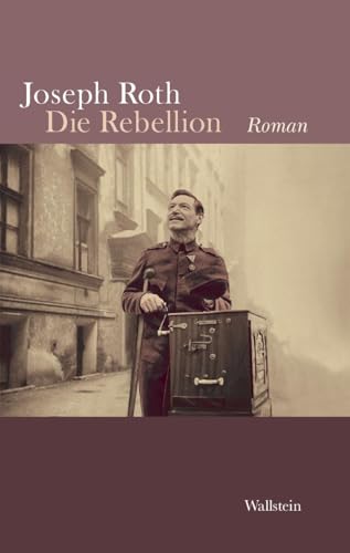 Stock image for Die Rebellion : Roman. Nach dem Manuskript ediert und mit einem Nachwort hrsg. von R. Schock. for sale by Hbner Einzelunternehmen