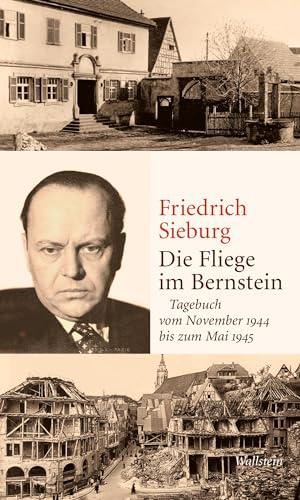 9783835352193: Die Fliege im Bernstein: Tagebuch vom November 1944 bis zum Mai 1945