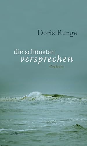 9783835352971: die schnsten versprechen: Gedichte