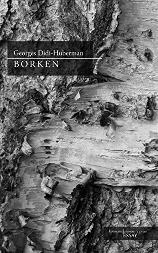Borken (Essay [KUP]) - Georges Didi-Huberman