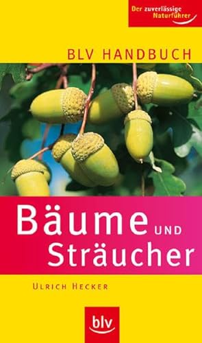 Beispielbild fr BLV Handbuch Bume und Strucher: Der zuverlssige Naturfhrer zum Verkauf von medimops