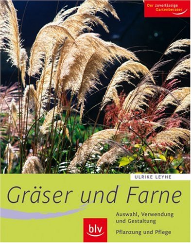 Stock image for Grser und Farne: Alle wichtigen Arten und Sorten im Portrt. Auswahl, Verwendung und Gestaltung. Pflanzung und Pflege for sale by medimops