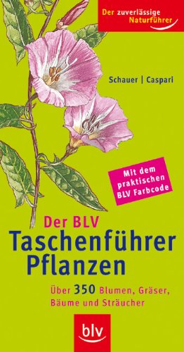 Der BLV Taschenführer Pflanzen: Mit über 350 Blumen, Gräser, Bäume und Sträucher und dem praktischen BLV Farbcode - Schauer, Thomas, Caspari, Claus