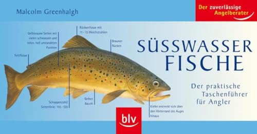 Stock image for Swasserfische: Der praktische Taschenfhrer fr Angler for sale by Better World Books Ltd