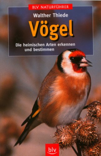 Stock image for Vgel: Die heimischen Arten erkennen und bestimmen for sale by medimops